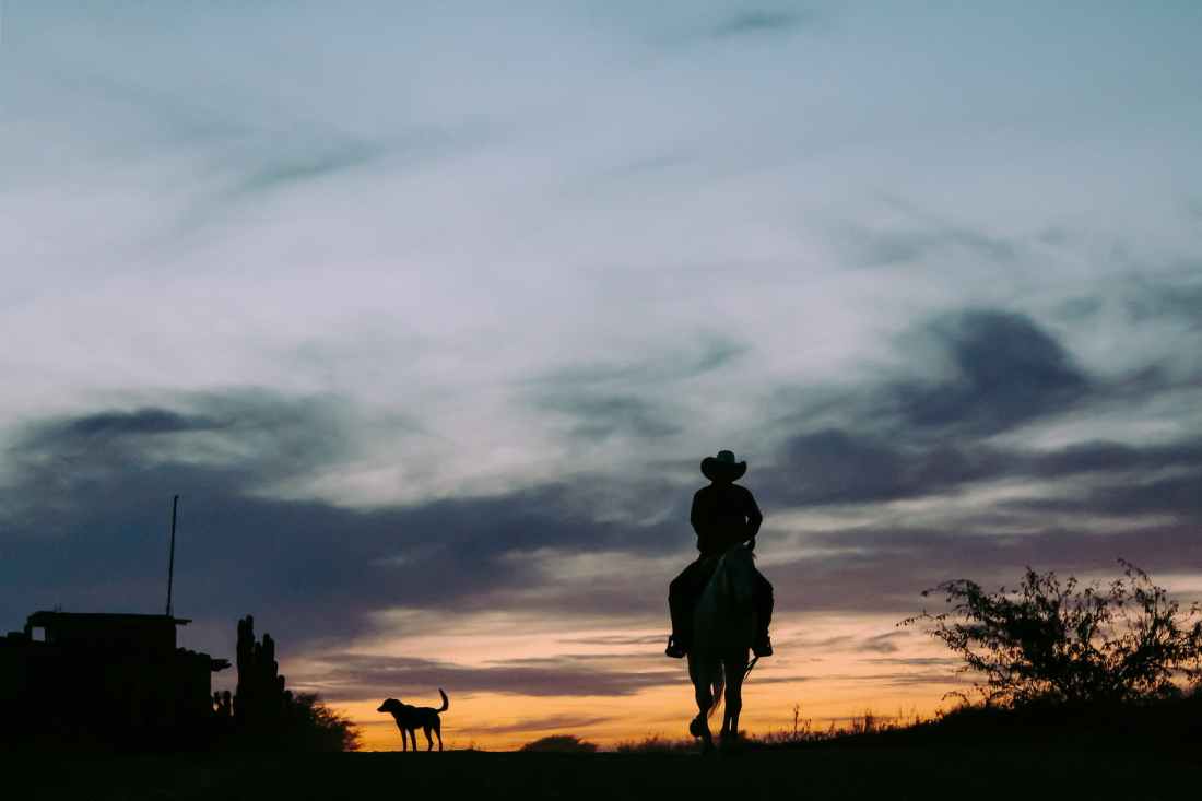 silhouette of person riding horse